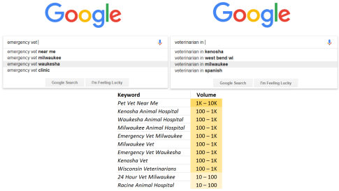 Veterinary SEO