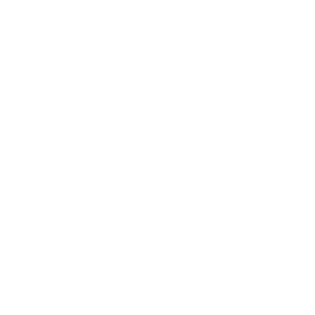 Custom website designers for All American Association of Home Inspectors