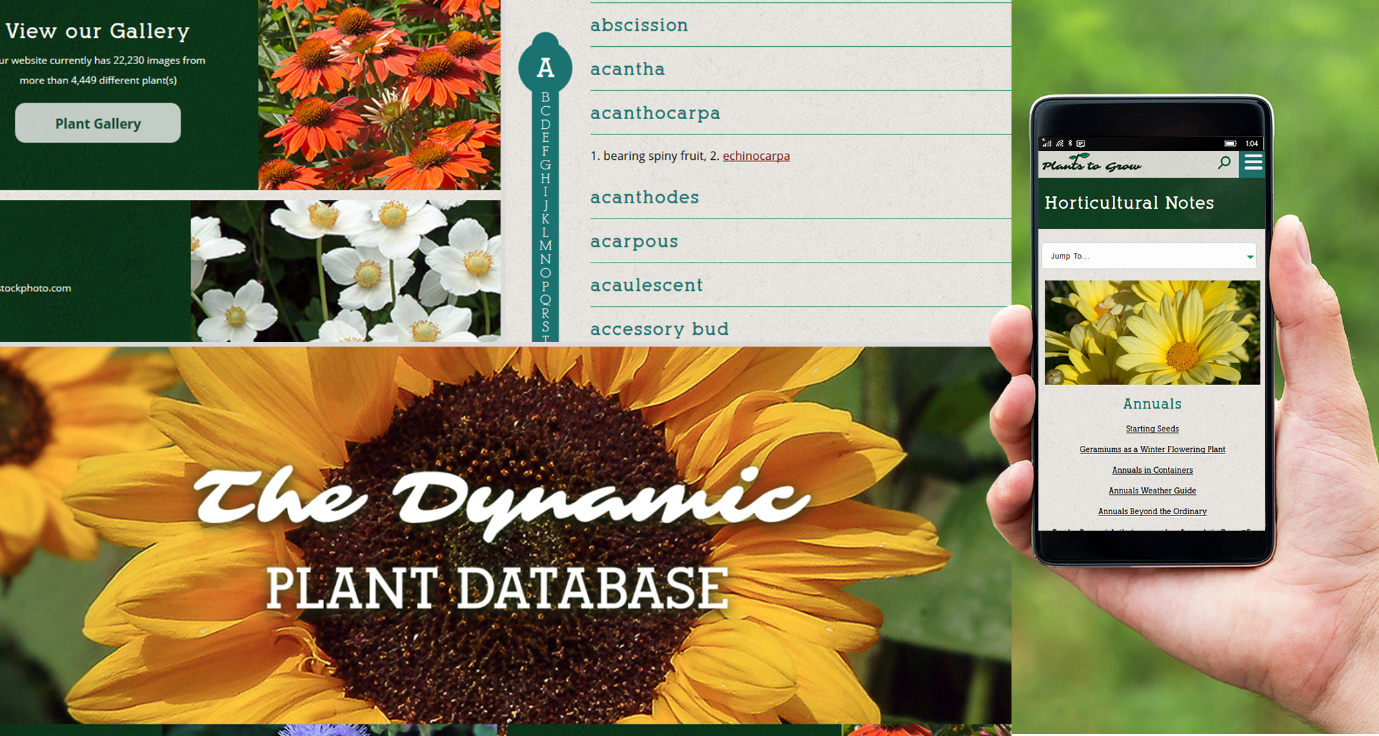 Milwaukee web marketing for Plants to Grow