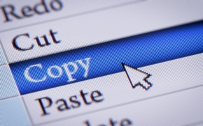 Duplicate Content on Website