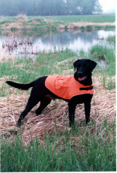 Milwaukee Orange Hunting Jacket for Dogs from Northland Dog Supply