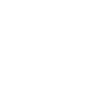 Bed Bugs 911 Logo