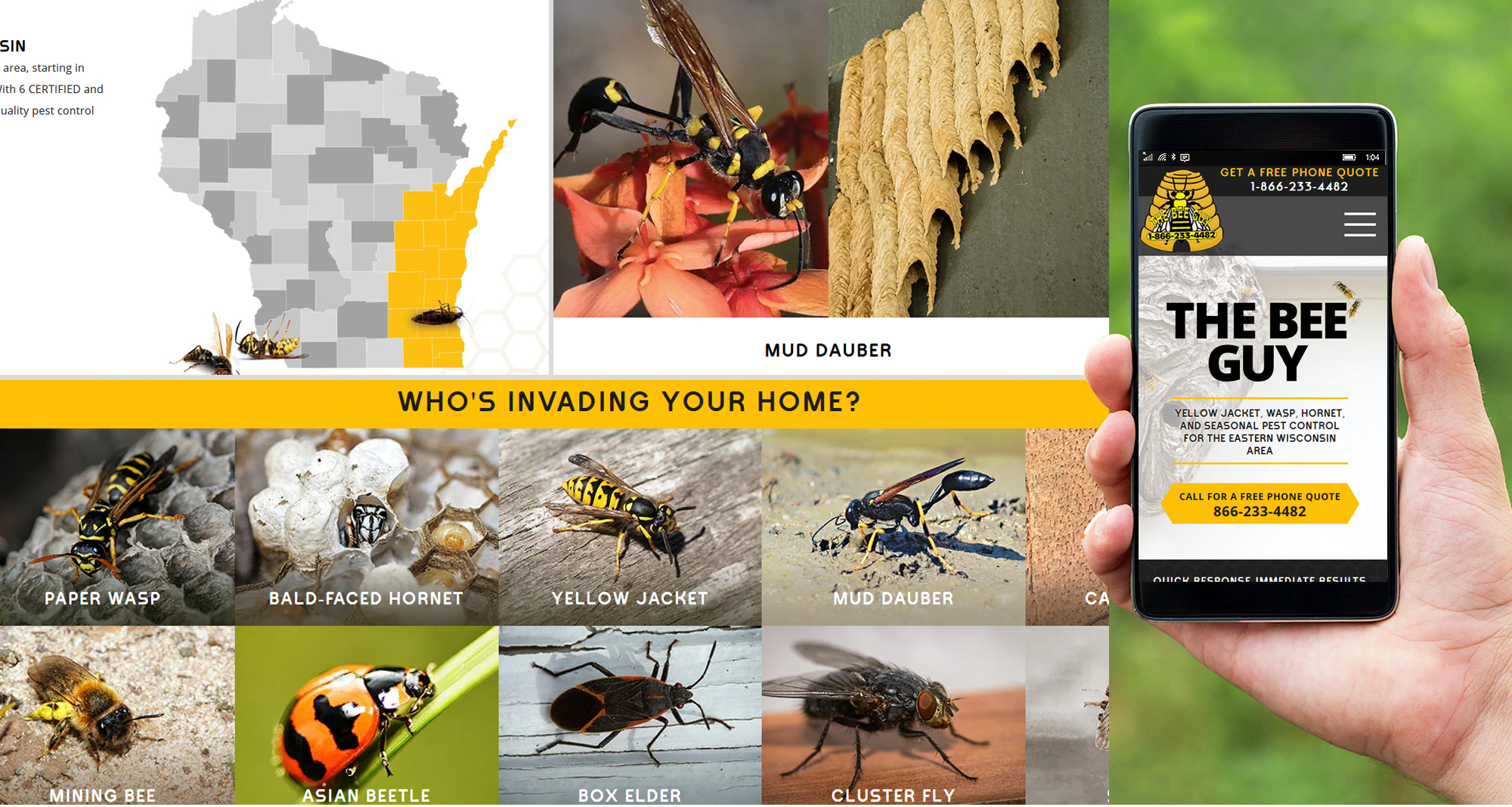 Milwaukee web marketing for The Bee Guy