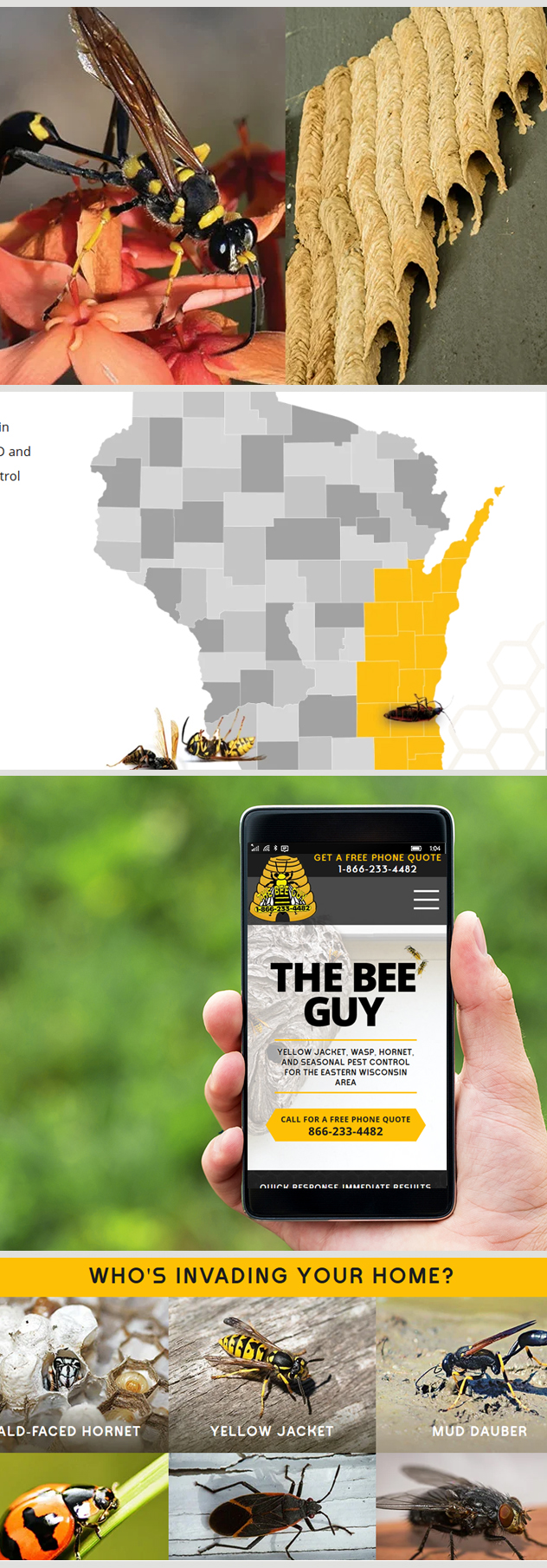 Milwaukee web marketing for The Bee Guy