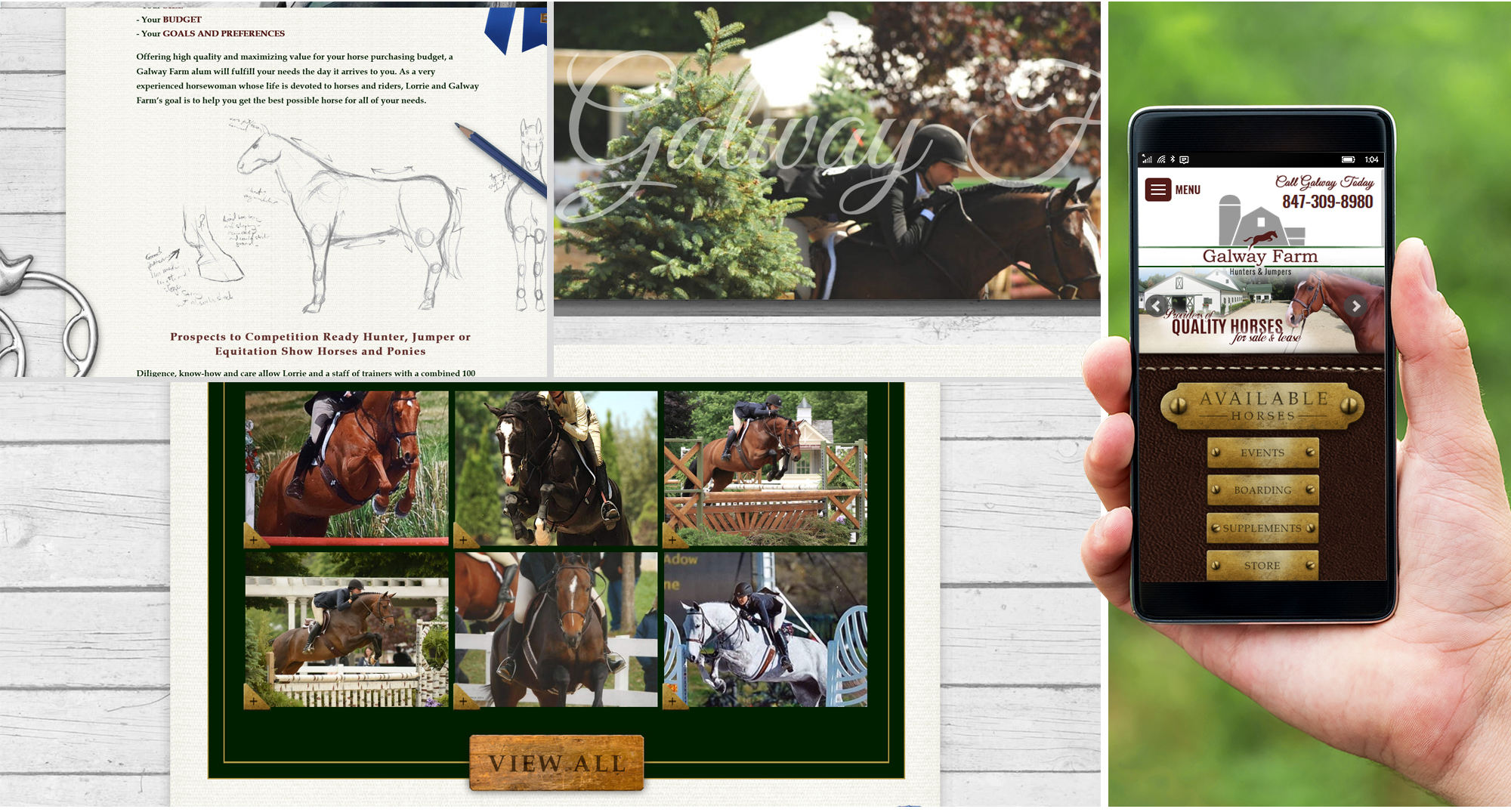 Milwaukee Web Marketing for Horses