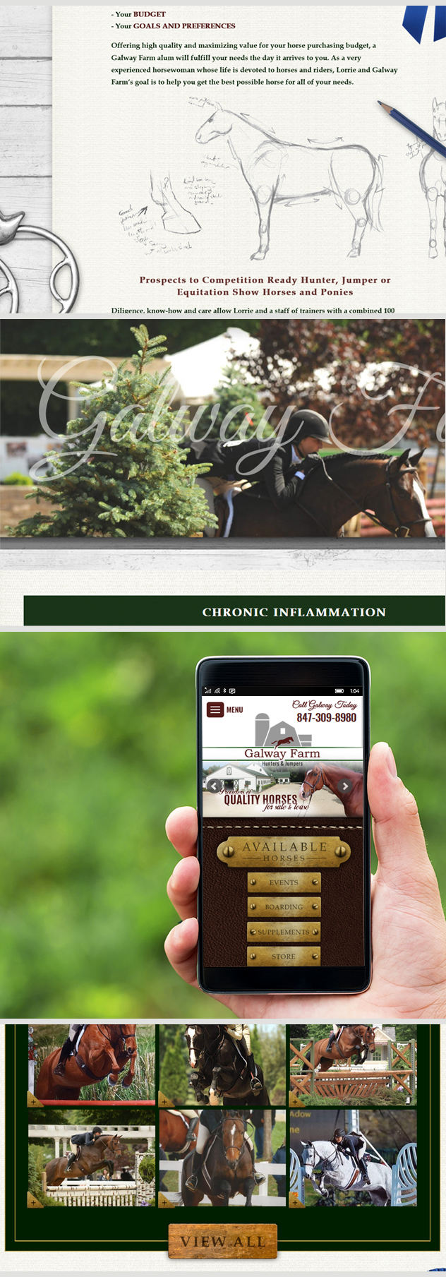 Milwaukee Web Marketing for Horses