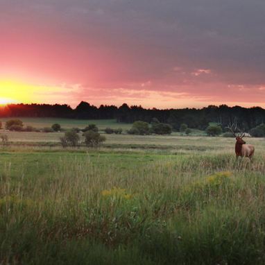 Waukesha Website Designer for Resort Ranch