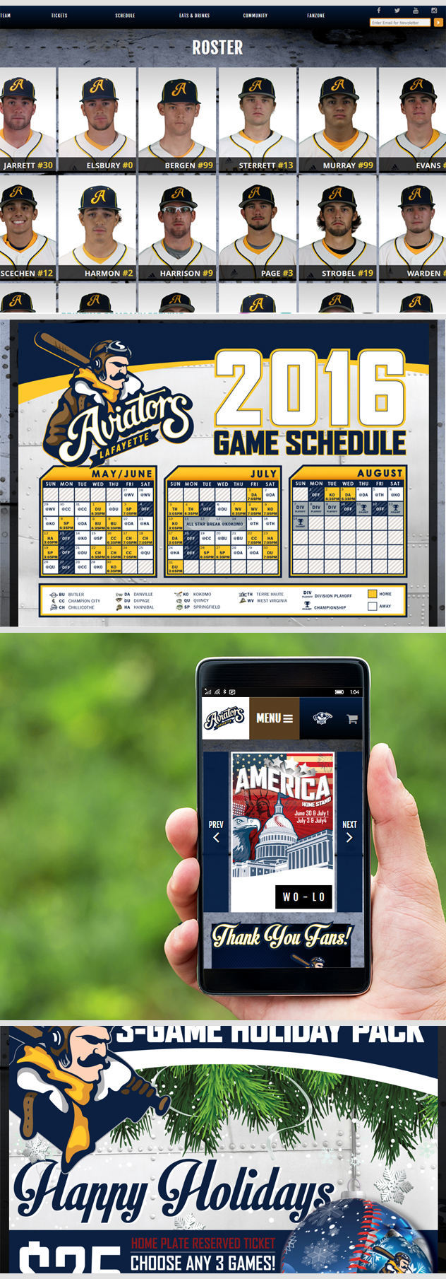 Wisconsin Baseball Team Website Design