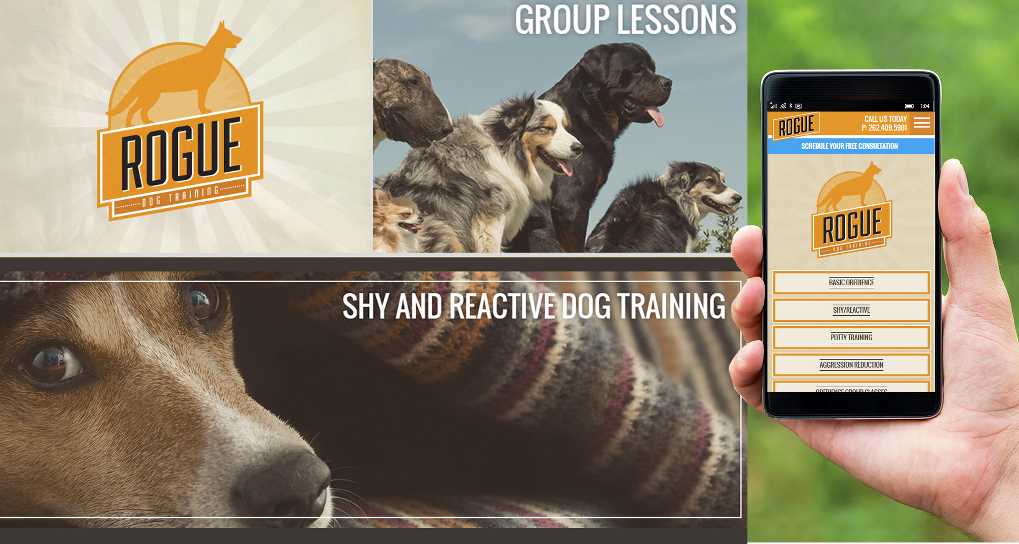 Milwaukee web marketing for Rogue Dog Training