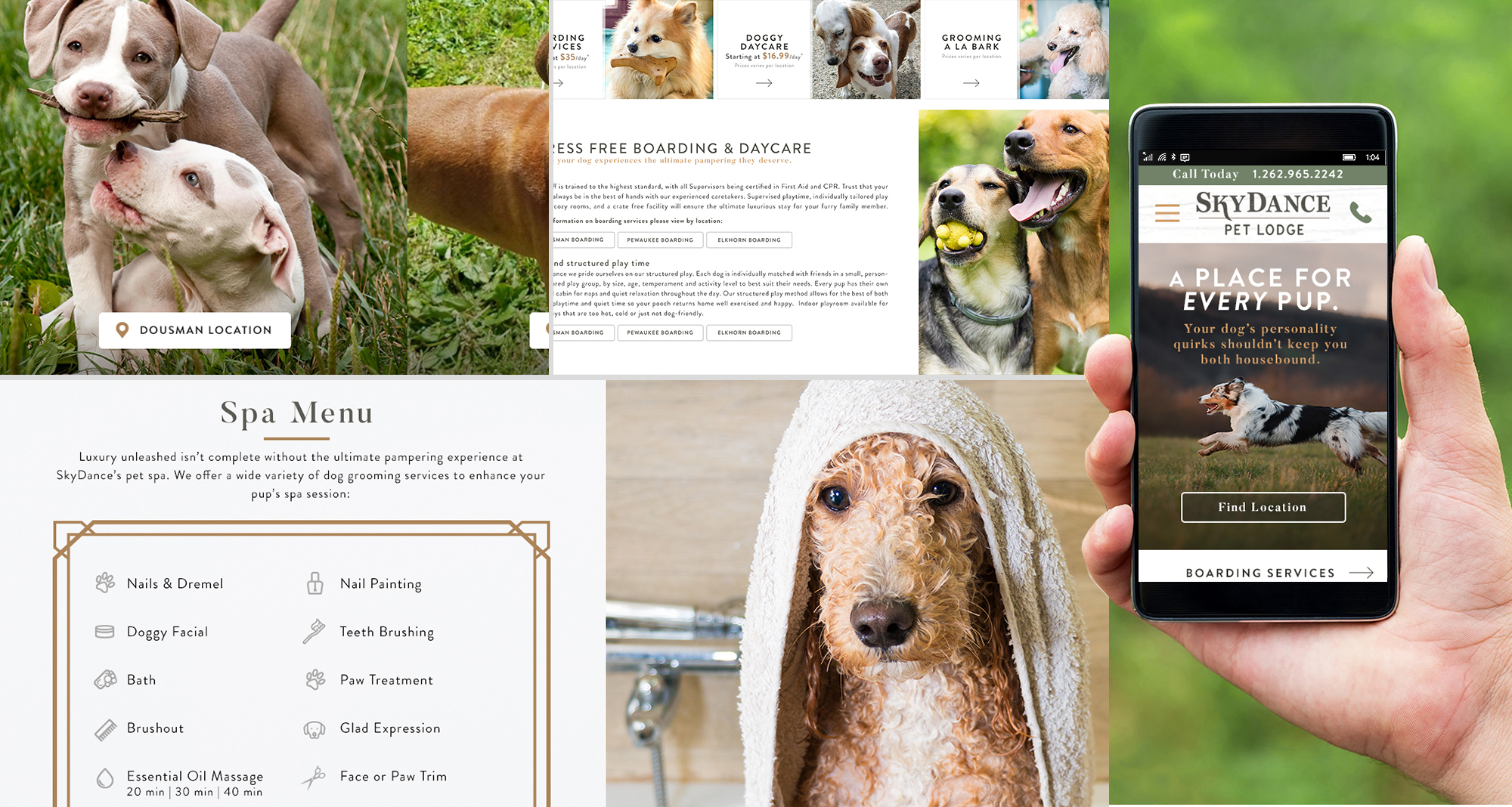 Milwaukee web marketing for Sky Dance Pet Lodge