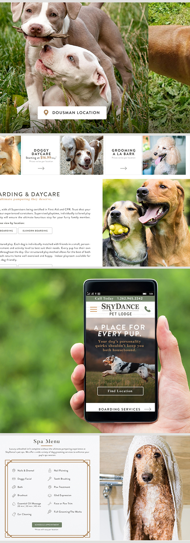 Milwaukee web marketing for Sky Dance Pet Lodge