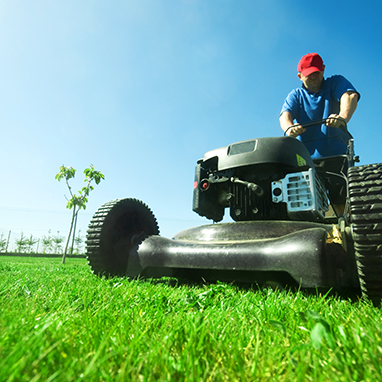 Milwaukee Web Design for Lawn Care and Snow Removal Company